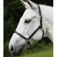 Lederen halster Star Robust Zwart