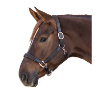 Halster Star Mix Bruin / roségoud