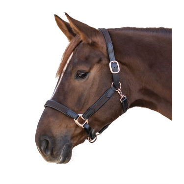 Halster Star Mix Bruin / roségoud Halster Star Mix Bruin / roségoud