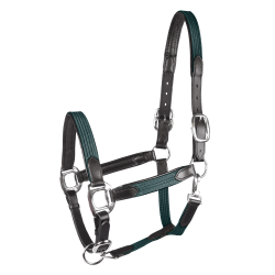 Halster Star Mix Dennengroen / zilver