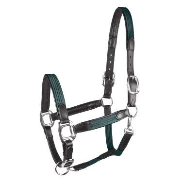 Halster Star Mix Dennengroen / zilver