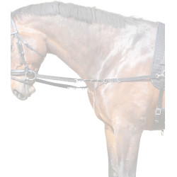 Vaste nylon teugels Star Zwart