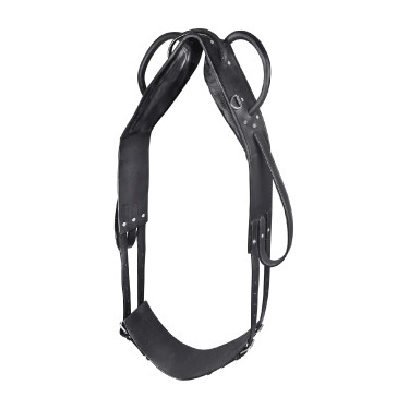 Voltige- en longeersingel Star Zwart Voltige- en longeersingel Star Zwart