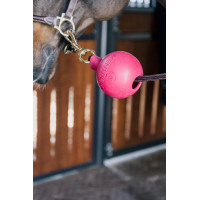 Beveiligingsbal Kentucky bevestiging Zwart