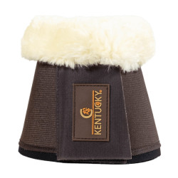 Schapenbellen Solimbra Kentucky Bruin