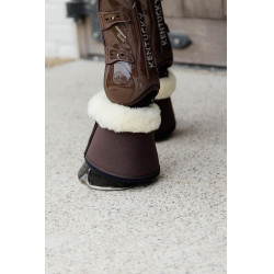 Schapenbellen Solimbra Kentucky Bruin