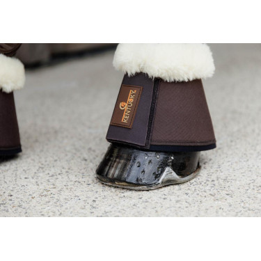 Schapenbellen Solimbra Kentucky Bruin