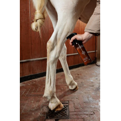 Vlekverwijderaar voor groene vlekken en stof Amandel Grooming Deluxe by Kentucky Vlekverwijderaar voor groene vlekken en stof Amandel Grooming Deluxe by Kentucky