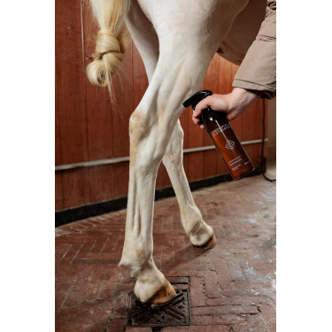 Vlekverwijderaar voor groene vlekken en stof Amandel Grooming Deluxe by Kentucky Vlekverwijderaar voor groene vlekken en stof Amandel Grooming Deluxe by Kentucky