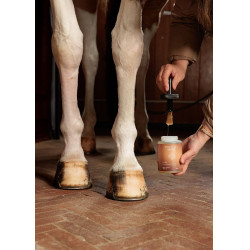 Voetolie Shine Grooming Deluxe van Kentucky Natuurlijk Bruin Voetolie Shine Grooming Deluxe van Kentucky Natuurlijk Bruin