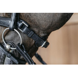 Gevlochten gecombineerde neusriem met Pull pack Dy'on New English Collection Zwart Gevlochten gecombineerde neusriem met Pull pack Dy'on New English Collection Zwart