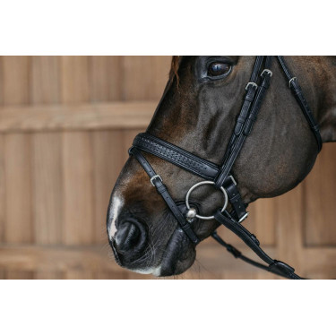 Gevlochten gecombineerde neusriem met Pull pack Dy'on New English Collection Zwart Gevlochten gecombineerde neusriem met Pull pack Dy'on New English Collection Zwart