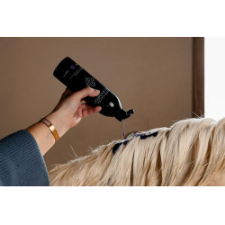 Paarse Shampoo met Amandel Grooming Deluxe van Kentucky Paarse Shampoo met Amandel Grooming Deluxe van Kentucky