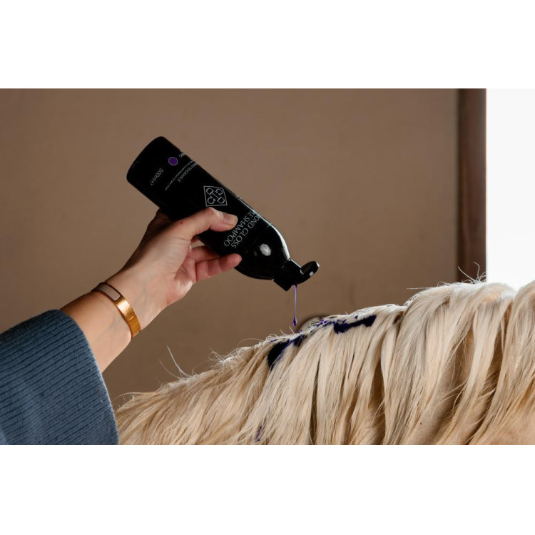 Paarse Shampoo met Amandel Grooming Deluxe van Kentucky Paarse Shampoo met Amandel Grooming Deluxe van Kentucky