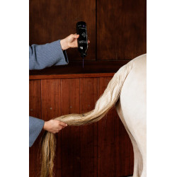 Paarse Shampoo met Amandel Grooming Deluxe van Kentucky Paarse Shampoo met Amandel Grooming Deluxe van Kentucky