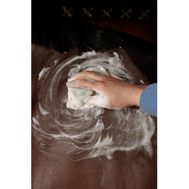 Vast Shampoo Grooming Deluxe van Kentucky Vast Shampoo Grooming Deluxe van Kentucky