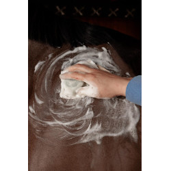 Vast Shampoo Grooming Deluxe van Kentucky Lavendel Violet Vast Shampoo Grooming Deluxe van Kentucky Lavendel Violet