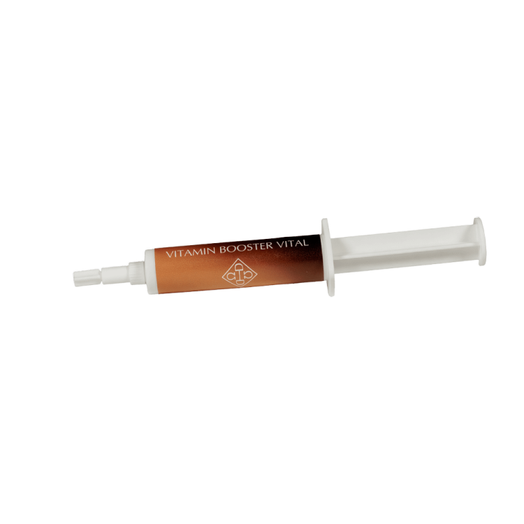 Vitamin Booster Vital Grooming Deluxe van Kentucky