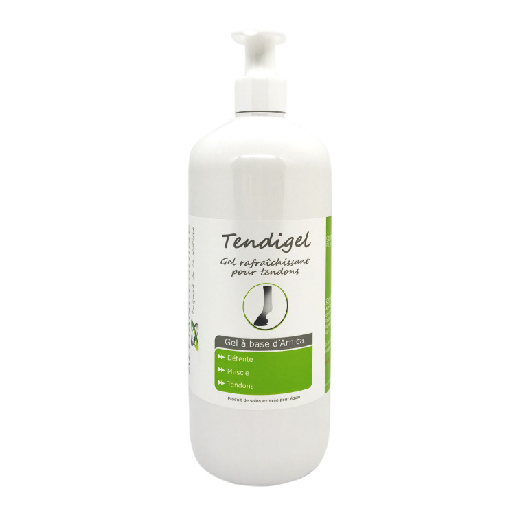 Tendigel Alliantie Paardensport