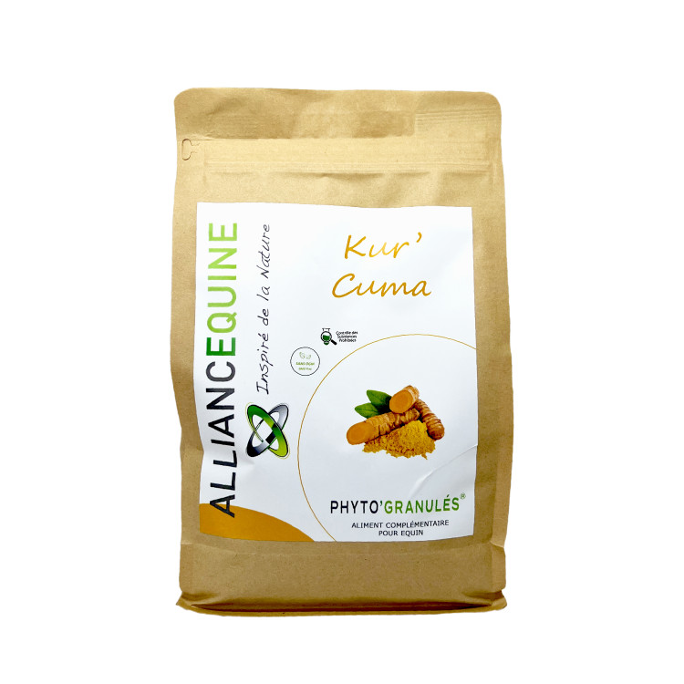 Kur'Cuma Paardenalliantie
