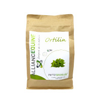 Ortilin Alliantie Paardensport