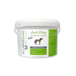 Arti'Flex Korrels Alliance Equine