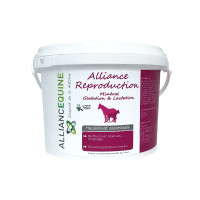 Alliantie Voortplanting Alliantie Paardensport