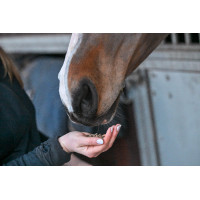 Natural'Digest Natural'Innov