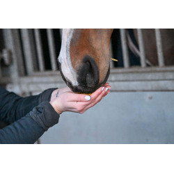 Natural'Immune Natural'Innov