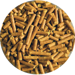 Natural'Immune Natural'Innov