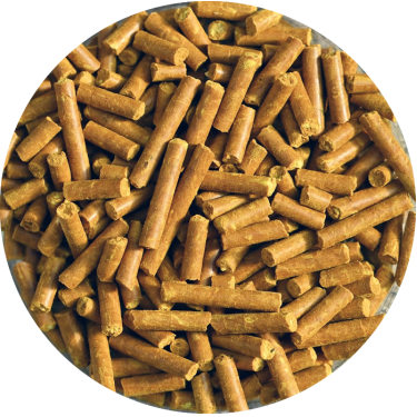 Natural'Immune Natural'Innov