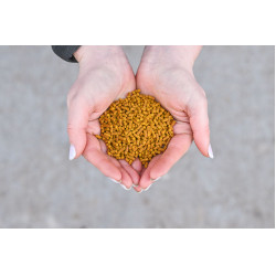 Natural'Immune Natural'Innov