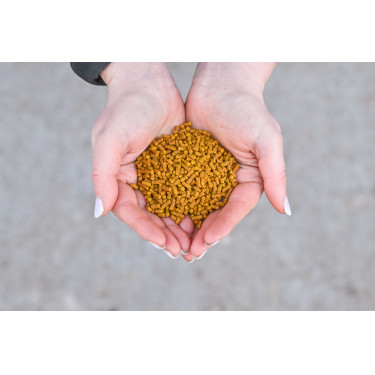 Natural'Immune Natural'Innov