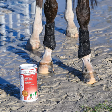 Natural'Immune Natural'Innov