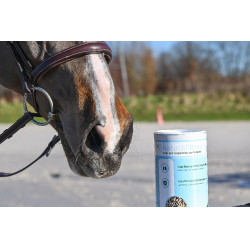 Natural'Breath Natural'Innov