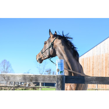 Natural'Breath Natural'Innov