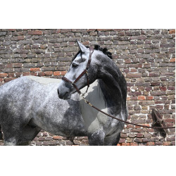 Natural'Comfort Natural'Innov