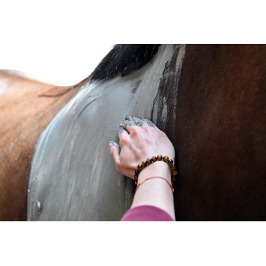 Natural'Comfort Natural'Innov