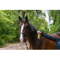 Natural'Fly Natural'Innov Natural'Fly Natural'Innov