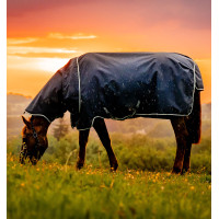 Horseware Amigo Ripstop 900D Plus Pony Turnout 200g Deken Zwart / klassiek blauw Horseware Amigo Ripstop 900D Plus Pony Turnout 200g Deken Zwart / klassiek blauw