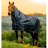 Horseware Amigo Ripstop 900D Plus Pony Turnout 200g Deken Zwart / klassiek blauw Horseware Amigo Ripstop 900D Plus Pony Turnout 200g Deken Zwart / klassiek blauw