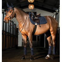 Vliegenmuts Horseware Amigo Earnet Marine Marineblauw