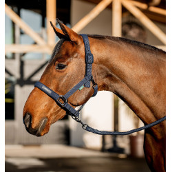 Halster en lijn Amigo Horseware Marine Marineblauw Halster en lijn Amigo Horseware Marine Marineblauw