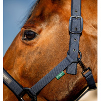 Halster en lijn Amigo Horseware Marine Marineblauw Halster en lijn Amigo Horseware Marine Marineblauw