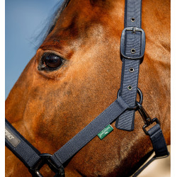 Halster en lijn Amigo Horseware Marine Marineblauw Halster en lijn Amigo Horseware Marine Marineblauw