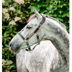 Gevlochten Horseware Signature halster Bruin / marine / nevelblauw Multicolor