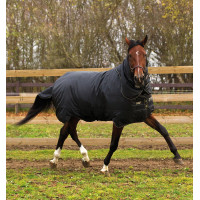 Horseware Trot Plus deken met halsstuk 350g Zwart / zwart / tan Horseware Trot Plus deken met halsstuk 350g Zwart / zwart / tan