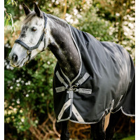 Horseware Amigo Bravo 12 Wug 400g deken Zwart / titaniumgrijs / zilver Horseware Amigo Bravo 12 Wug 400g deken Zwart / titaniumgrijs / zilver