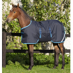 Veulen deken Horseware Amigo Ripstop Foal 50g Veulen deken Horseware Amigo Ripstop Foal 50g