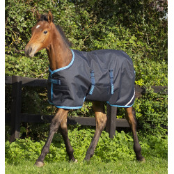 Veulen deken Horseware Amigo Ripstop Foal 50g Veulen deken Horseware Amigo Ripstop Foal 50g